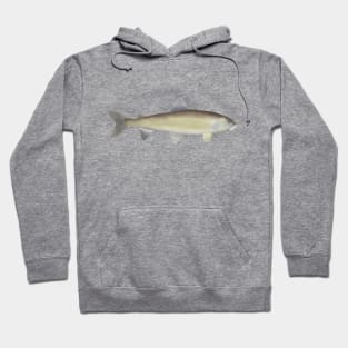 Mountain Whitefish Hoodie